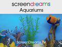 Screen Dreams - Aquariums