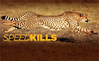 Speed Kills: Jungle on Smithsonian Channel
