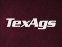 TexAgs TexAgs