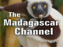 The Madagascar Channel