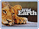 Wild Earth TV on Roku