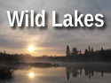 Wild Lakes