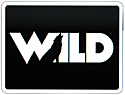 Wild TV Wild TV