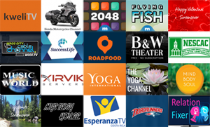 New Roku Channels - December 1, 2017