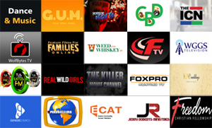 New Roku Channels - March 30, 2018