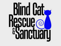 Blind Cat Rescue