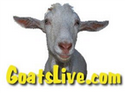 Goats Live