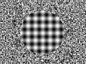 Optical Illusions Optical Illusions