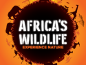 Africa's Wildlife