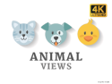 Animal Views