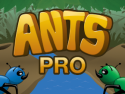 Ants Pro