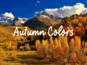 Autumn Colors