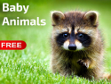 Baby Animals Screensaver on Roku