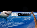 Bills Channel