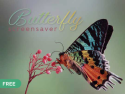 Butterfly Screensaver on Roku