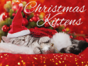 Christmas Kittens