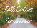 Fall Colors Screensaver