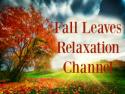 Fall Leaves Relaxation Channel