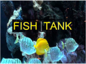 Fish Tank TV