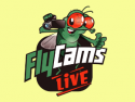 FlyCams Live - Band Cams, Bar Cams, Animal Cams & More!