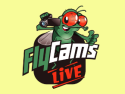 FlyCams Live on Roku