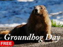 Groundhogs Roku screensaver