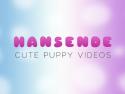 Hansende
