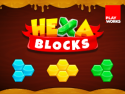 Hexa Blocks