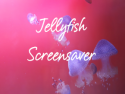 Jellyfish Screensaver