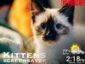 Kittens Screensaver on Roku