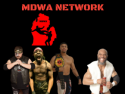 MDWA NETWORK on Roku