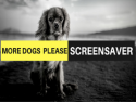 More Dogs Please Screensaver