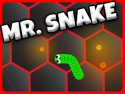 Mr Snake