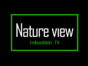 Nature view