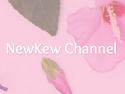 NewKew Channel