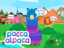 Pacca Alpaca