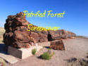 Petrified Forest Screensaver