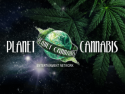 Planet Cannabis Entertainment