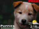 Puppies Screensaver on Roku