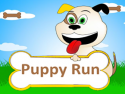 Puppy Run