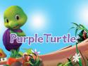 Purple Turtle