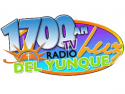 Radio TV Luz del Yunque