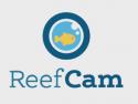 ReefCamTV