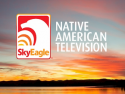 SkyEagleTV on Roku