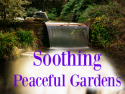 Soothing Peaceful Gardens