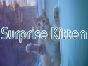 Surprise Kitten