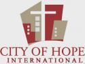 The City Online