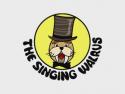 The Singing Walrus The Singing Walrus