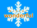 Winter Wonderful