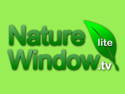 Nature Window TV Lite